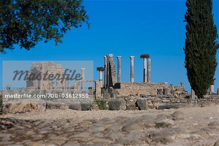 The Capitol, Roman Ruins at Volubilis, near Menkes, Morocco