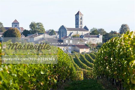 VINES IN Chateau Saint-Georges WITH VILLAGE AND MEDIEVAL CHURCH IN BACKGROUND, SAINT EMILION WINE, BORDEAUX, GIRONDE, AQUITAINE, NO PROPRETY RELEASE, VINES IN Chateau Saint-Georges WITH VILLAGE AND MEDIEVAL CHURCH IN BACKGROUND, SAINT EMILION WINE, BORDEAUX, GIRONDE, AQUITAINE, NO PROPRETY RELEASE,