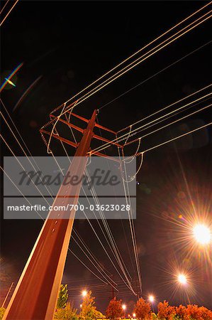 Looking Up at Power Lines