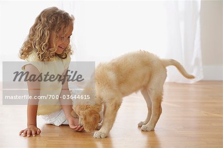 Little Girl With Goldendoodle Puppy Little Girl With Goldendoodle Puppy