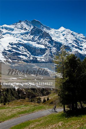 Cyclist on Road, Jungfrau Region, Bernese Alps, Switzerland