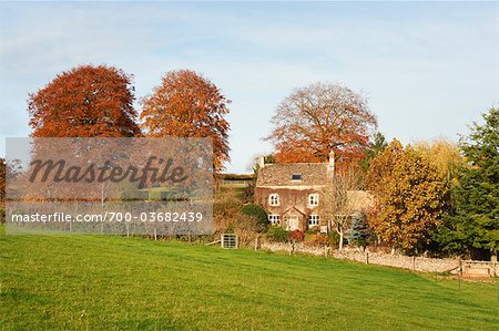 Old Farmhouse Surrounded by Trees in Autumn, Cotswolds, Gloucestershire, England