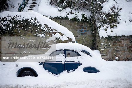 Snow Covered Beetle