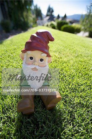 Garden Gnome on Lawn