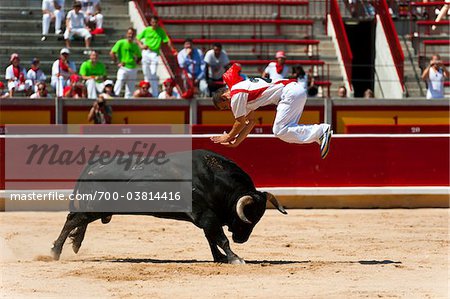 Matador and Bull in Bullfighting Ring, Fiesta de San Fermin, Pamplona, Navarre, Spain