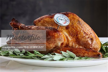 Roast Turkey on Platter