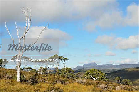 View of Cradle Mountain, Cradle Mountain-Lake St Clair National Park, Tasmania, Australia