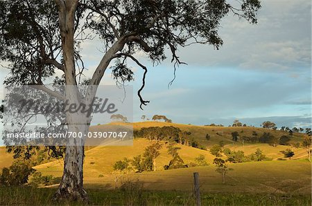 Countryside near Dungog, New South Wales, Australia