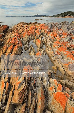 Red Lichen on Rocks, Rocky Cape National Park, Tasmania, Australia