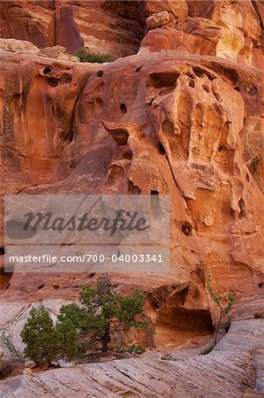 Capitol Reef National Park, Utah, USA