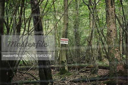 Danger Keep Out Sign Posted on Tree in Forest, Forgewood, Kent, England