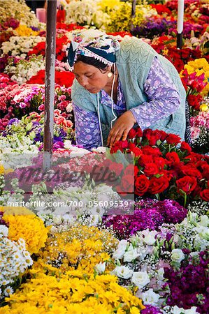 Woman at Flower Stand, Uskudar, Istanbul, Turkey