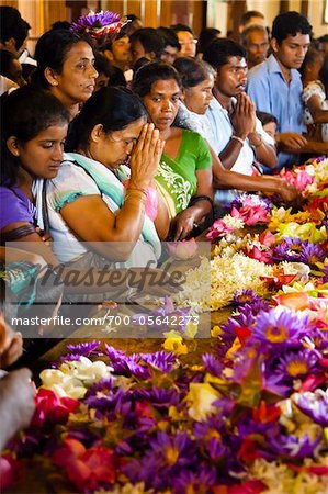 People Leaving Offerings at Temple of the Tooth during Kandy Perehera Festival, Kandy, Sri Lanka