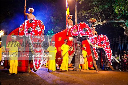 Procession of Elephants, Esala Perahera Festival, Kandy, Sri Lanka