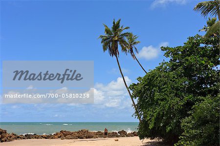 Praia de Tabatinga, Tabatinga Beach, Paraiba, Brazil