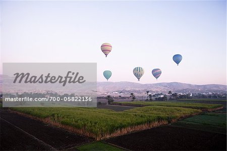 Hot Air Balloons over Luxor, Egypt