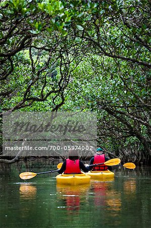 Kayaking at Kuroshio No Mori, Mangrove Park, Amami Oshima, Amami Islands, Kagoshima Prefecture, Japan