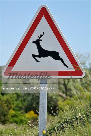 Close-Up of Deer Warning Sign