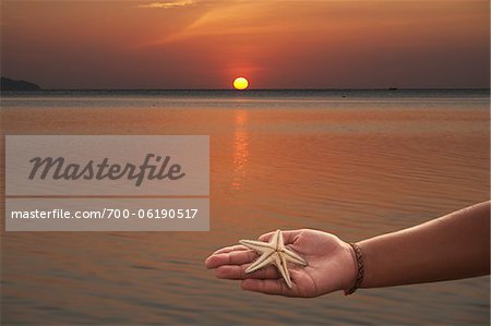 Person Holding Starfish in Hand, Pak Meng Beach, Trang, Thailand Person Holding Starfish in Hand, Pak Meng Beach, Trang, Thailand