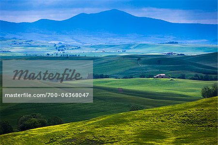 Scenic of Valley, Val d'Orcia, Siena, Tuscany, Italy