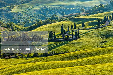 Winding Road, Monticchiello, Val d'Orcia, Province of Siena, Tuscany, Italy