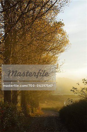 Country Road in Autumn, near Villingen-Schwenningen, Baden-Wurttemberg, Germany