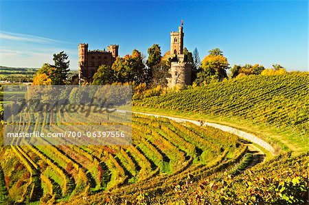 Ortenberg Castle and Vineyards in Autumn, near Offenburg, Ortenau District, Baden-Wurttemberg, Germany