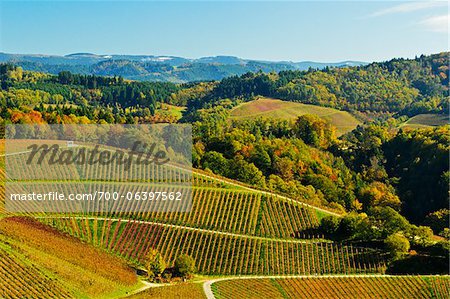 Hillside Stock Photos, Royalty Free Hillside Images