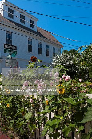 Garden, Provincetown, Cape Cod, Massachusetts, USA