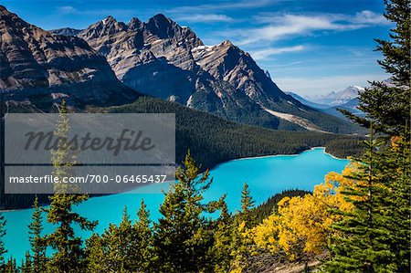 Overview of Peyto Lake as seen from Bow Summit, Banff National Park, Alberta, Canada