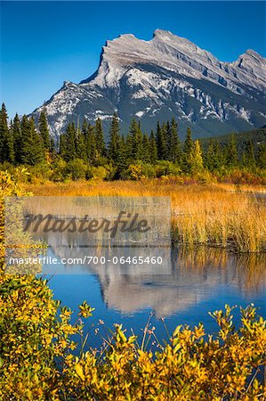 Mount Rundle and Long Grass in Vermilion Lakes, near Banff, Banff National Park, Alberta, Canada