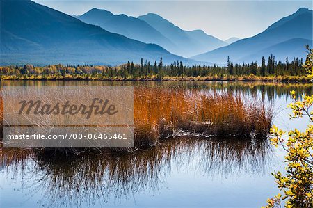 Long Grass in Vermilion Lakes with Mountain Range in Background, near Banff, Banff National Park, Alberta, Canada