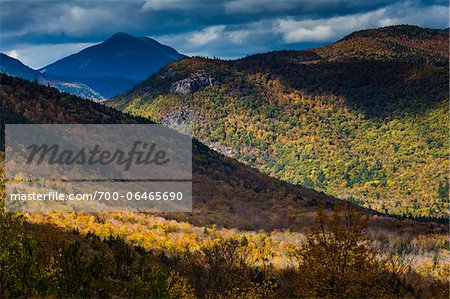 Forest Covered Mountains in Autumn, White Mountain National Forest, White Mountains, New Hampshire, USA