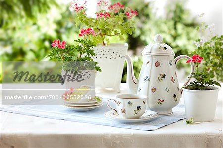 tablesetting with tea, teacup, teapot, cake, and edible geraniums as well as potted flowering geraniums in a garden setting tablesetting with tea, teacup, teapot, cake, and edible geraniums as well as potted flowering geraniums in a garden setting