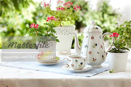 tablesetting with tea, teacup, teapot, cake, and edible geraniums as well as potted flowering geraniums in a garden setting