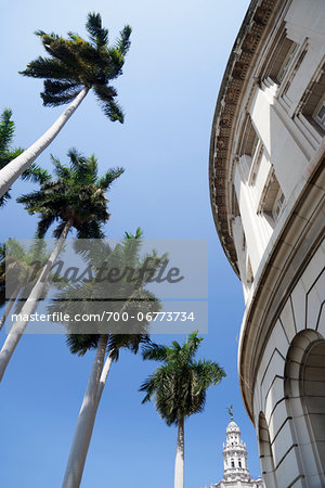 PALMS IN THE BLUE SKY AND BUILDINGS, GRAN TEATRO DE LA HABANA IN BACKGROUND, HAVANA, HAVANA PROVINCE, CUBA PALMS IN THE BLUE SKY AND BUILDINGS, GRAN TEATRO DE LA HABANA IN BACKGROUND, HAVANA, HAVANA PROVINCE, CUBA