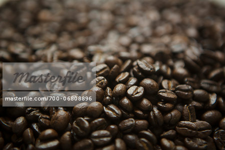 pile of coffee beans