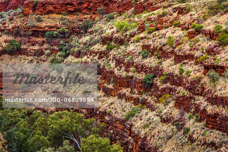 Dales Gorge, Karijini National Park, The Pilbara, Western Australia, Australia