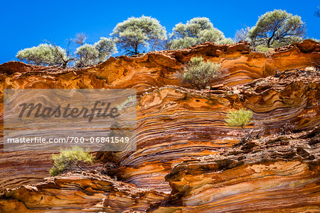Low Angle View of Cliff and Trees, The Loop, Kalbarri National Park, Western Australia, Australia Low Angle View of Cliff and Trees, The Loop, Kalbarri National Park, Western Australia, Australia