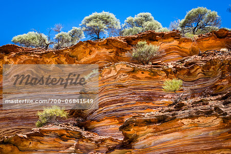 Low Angle View of Cliff and Trees, The Loop, Kalbarri National Park, Western Australia, Australia