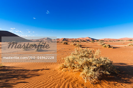 Sand Dunes, Namib-Naukluft National Park, Namib Desert, Sossusvlei Region, Namibia, Africa