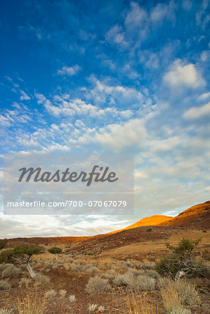 Damaraland, Kunene Region, Namibia, Africa