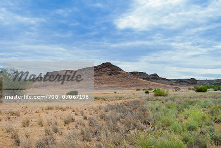 Huab River Valley area, Damaraland, Kunene Region, Namibia, Africa