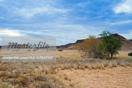 Huab River Valley area, Damaraland, Kunene Region, Namibia, Africa Huab River Valley area, Damaraland, Kunene Region, Namibia, Africa