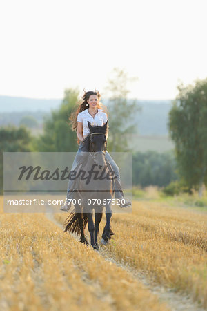 Young Woman Riding a Friesian Horse through threshed Cornfield, Bavaria, Germany