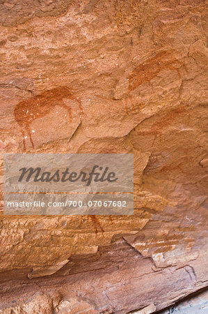 Rock paintings, Twyfelfontein, UNESCO World Heritage site, Damaraland, Kunene Region, Namibia, Africa