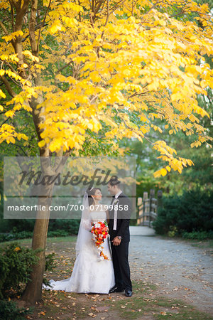Portrait of bride and groom standing outdoors next to tree in public garden in Autumn, looking at eahc other, Ontario, Canada