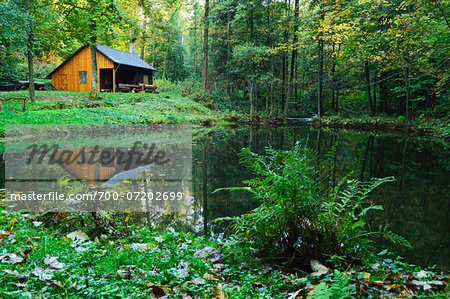 Cabin by Pond, Hunsruck, Rhineland-Palatinate, Germany