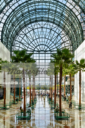 Winter Garden Atrium World Financial Center World Trade Center