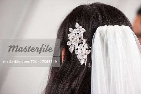 Close-up of Veil in Bride's Hair